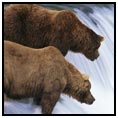 Alaska
